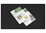 design modern premium business flyers and eye catching banners